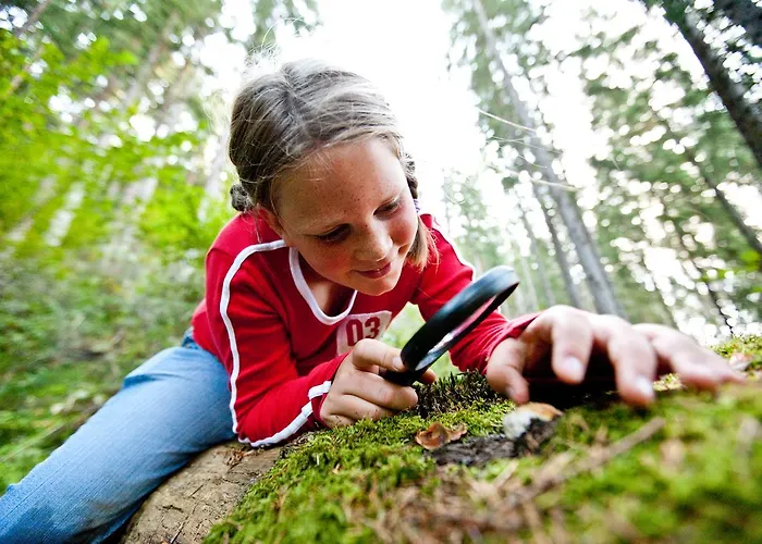 Alpenrock Appartements By Schladming-Appartements
